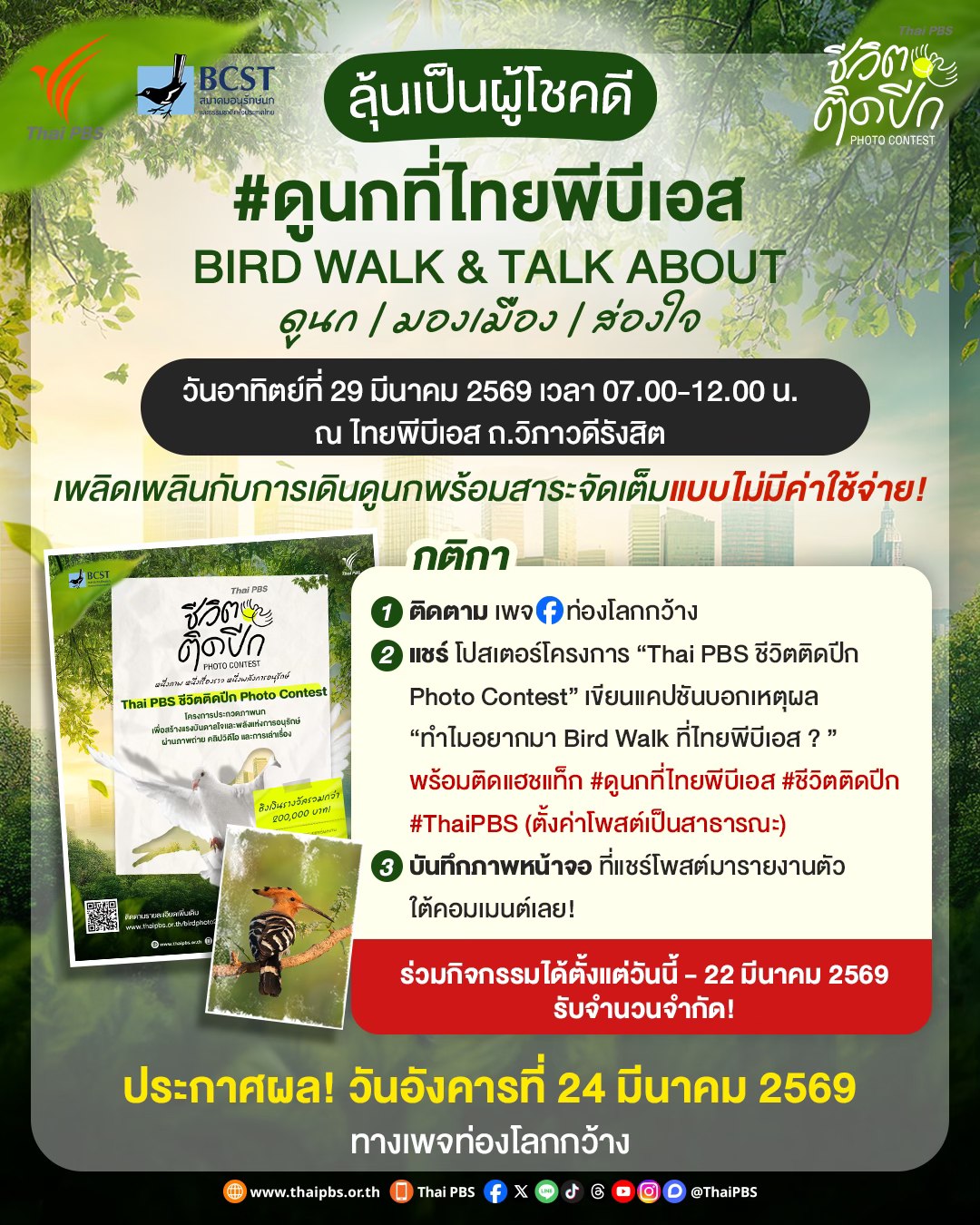 Bird Walk Activity Poster