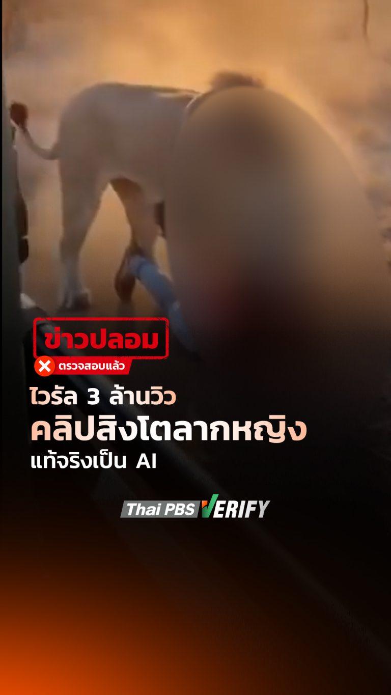 ไวรัล 3 ล้านวิว คลิปสิงโตลากหญิง แท้จริงเป็น AI : Thai PBS Verify