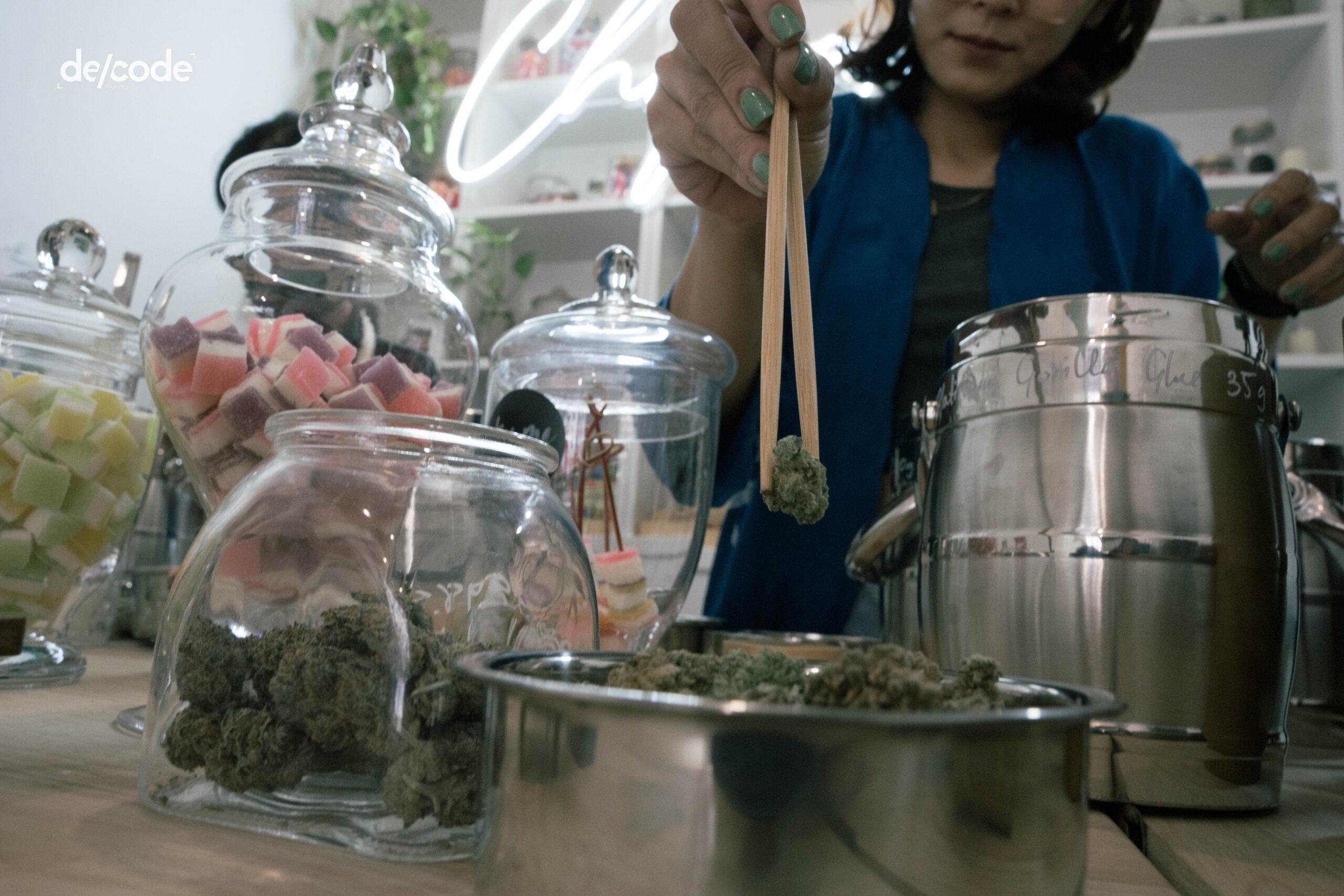 สุญญากาศ ‘กัญ’ ช่องโหว่ที่ถดถอยหรือช่องรวยที่เติบโต
