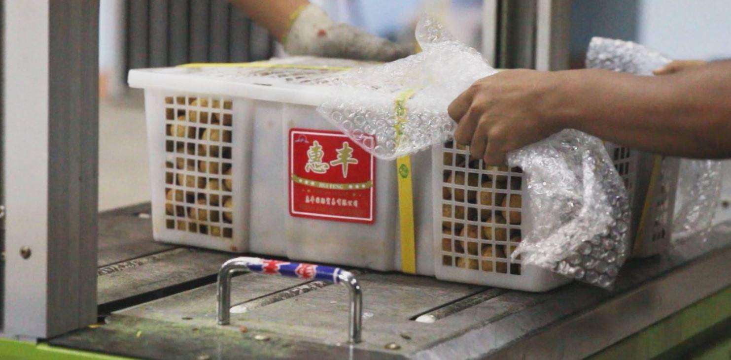 ปราสาททราย ‘ลำไย’ พังทลายในรอบ 10 ปี
