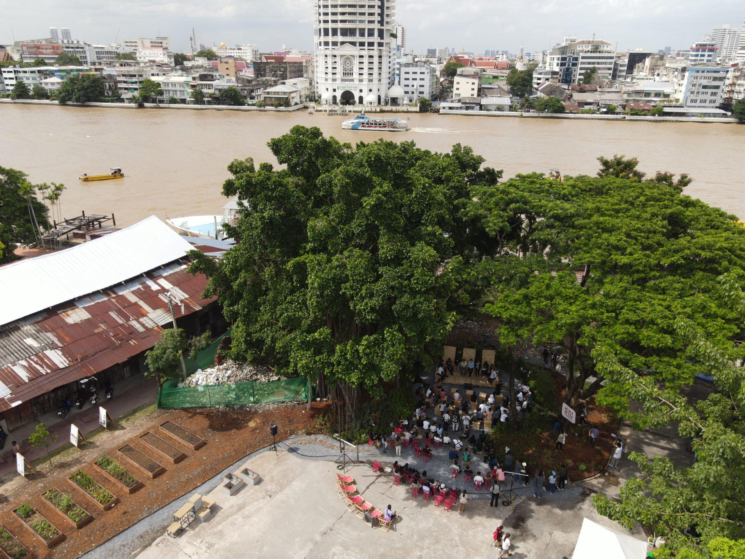 โครงสร้างพื้นฐาน ‘สีเขียว’ ในเมืองใหญ่