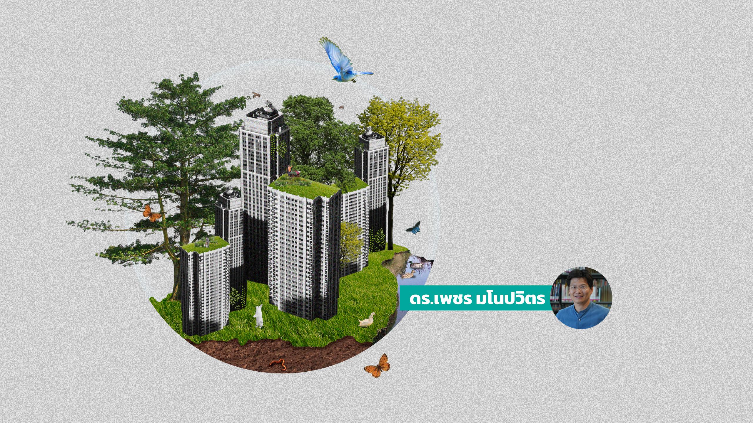 Nature-based Solutions กลยุทธ์พลิกฟื้นโลก