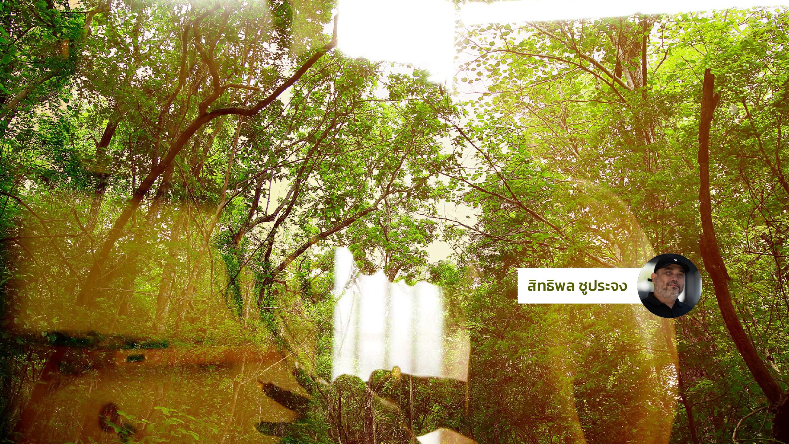 Into the Wild เดินเข้าไปในความรกร้างว่างเปล่า