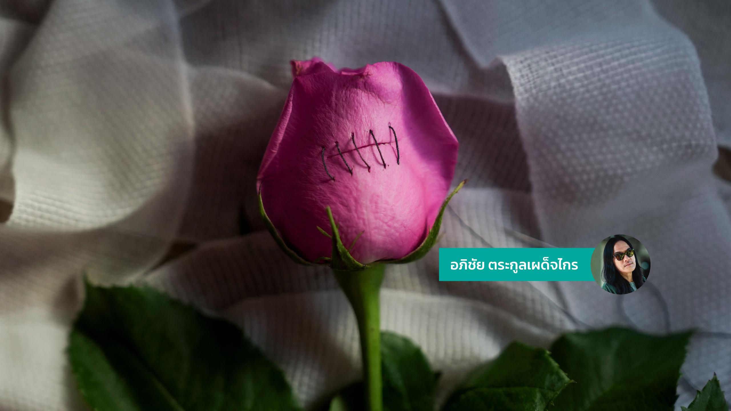 แผลส่วนตัว