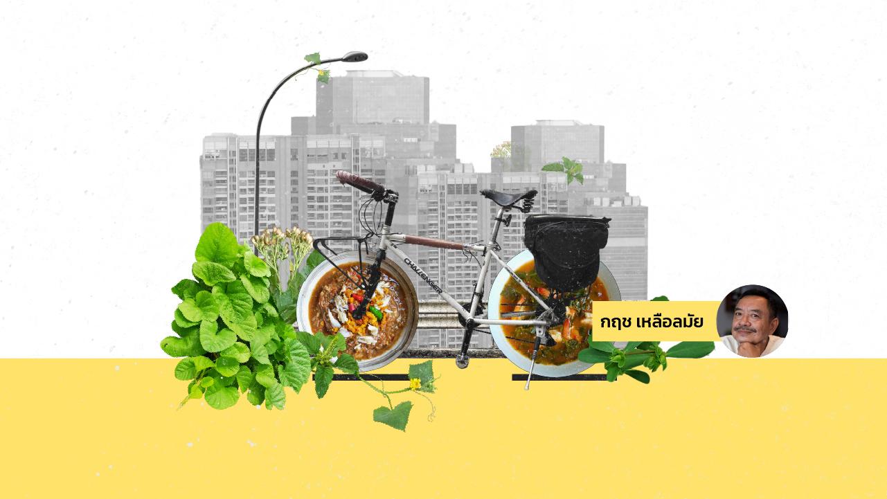 ป่าในเมือง ปั่น เก็บ กิน บนผืนดินที่เปลี่ยนไป