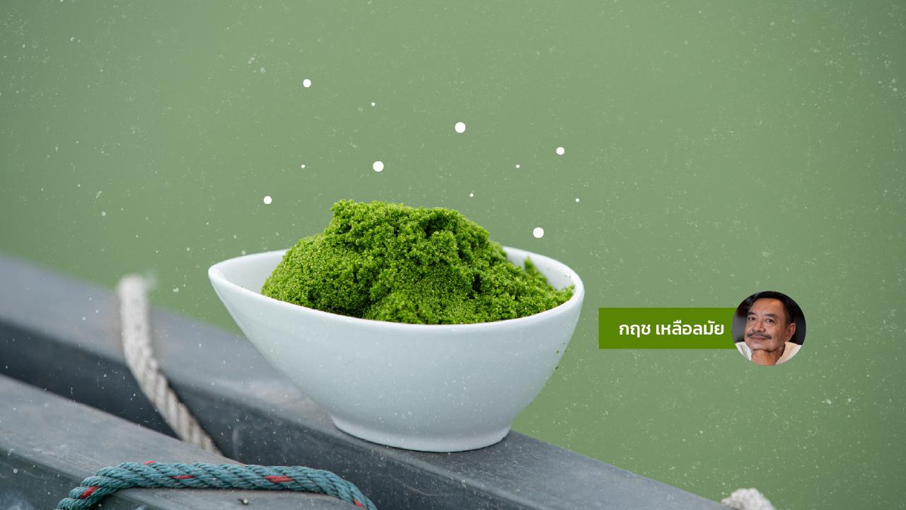 ผำ ไข่น้ำ รูป นาม และความท้าทาย