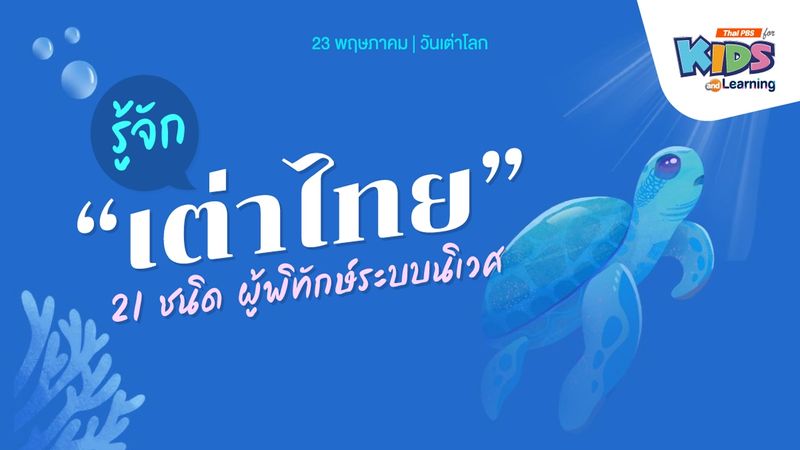 รู้จัก "เต่าไทย” 21 ชนิด ผู้พิทักษ์ระบบนิเวศ