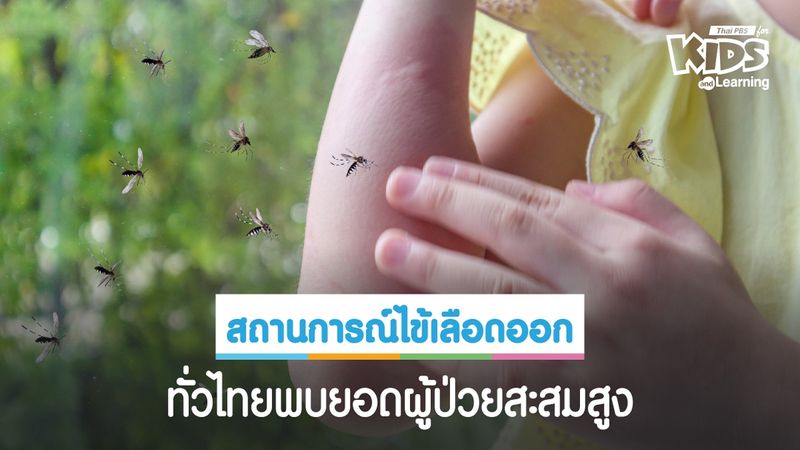 สถานการณ์โรคไข้เลือดออกในกรุงเทพฯ และทั่วประเทศยังน่าห่วง พบยอดผู้ป่วยสะสมสูง