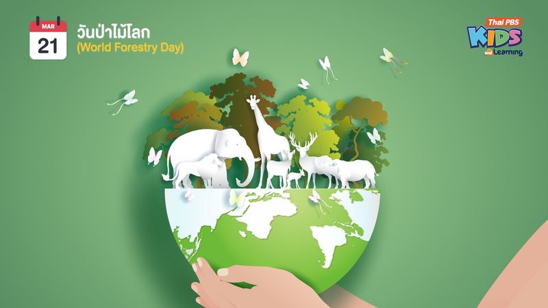 วันนี้วันอะไรนะ ? : 21 มีนาคม วันป่าไม้โลก (World forestry Day)