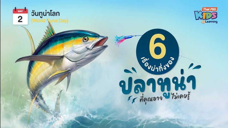 2 พฤษภาคม : วันทูน่าโลก (Wolrd Tuna Day) 6 เรื่องน่าทึ่งของปลาทูน่าที่คุณอาจไม่เคยรู้