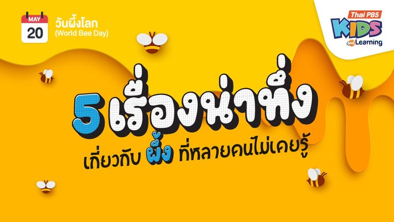 5 เรื่องน่าทึ่งเกี่ยวกับ "ผึ้ง" ที่หลายคนไม่เคยรู้