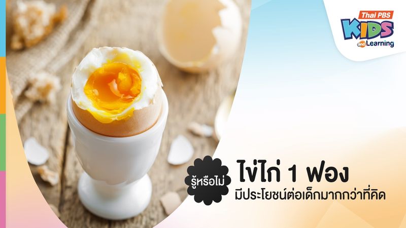 รู้หรือไม่ ไข่ไก่ 1 ฟอง มีประโยชน์ต่อเด็กมากกว่าที่คิด