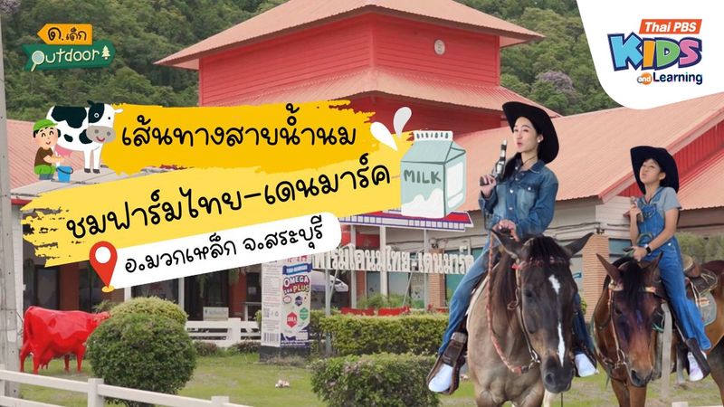 เส้นทางสายน้ำนม ชมฟาร์มไทย-เดนมาร์ค