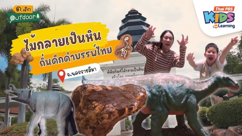 ไม้กลายเป็นหิน ถิ่นดึกดำบรรพ์ไทย