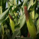 Photostory - for facebook-05