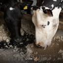 Photostory - for facebook-03