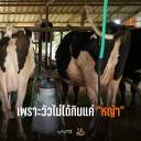 Photostory - for facebook-02