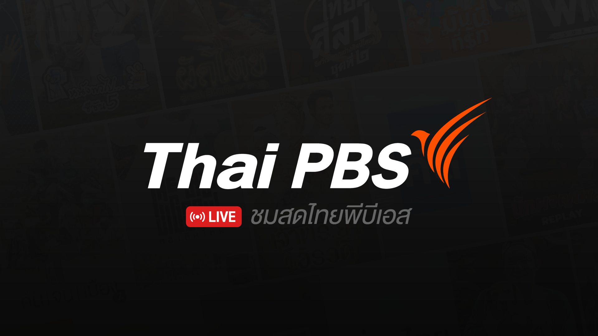 ชมสด ไทยพีบีเอส (Thai PBS Live) | Thai PBS รายการไทยพีบีเอส