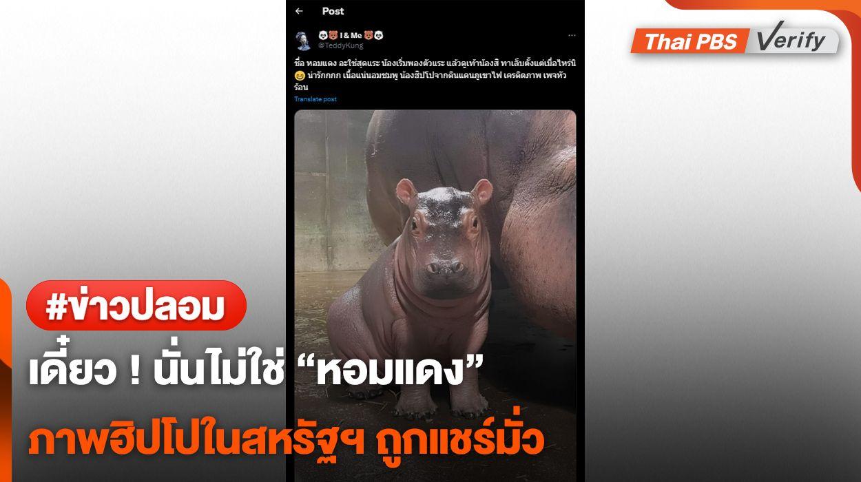 เดี๋ยว ! คนละตัว พบภาพลูกฮิปโปในสหรัฐฯ ถูกแชร์อ้างภาพ “น้องหอมแดง”