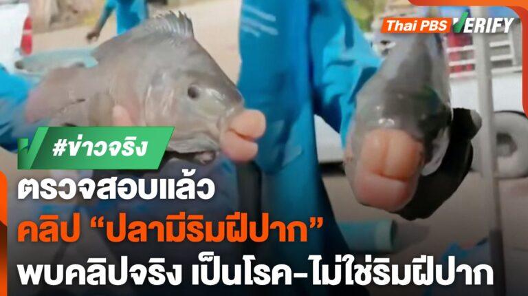 ตรวจสอบแล้ว : คลิป “ปลาแปลก” มีริมฝีปากเหมือนมนุษย์ ที่แท้เป็นโรค