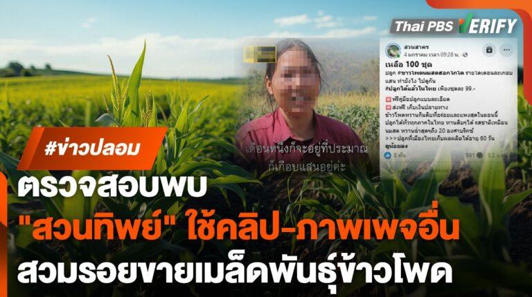 ตรวจสอบพบ : “สวนทิพย์” ลอบใช้คลิปเพจดัง-แอบอ้างภาพเพจอื่น ลวงขายเมล็ดพันธุ์ข้าวโพด