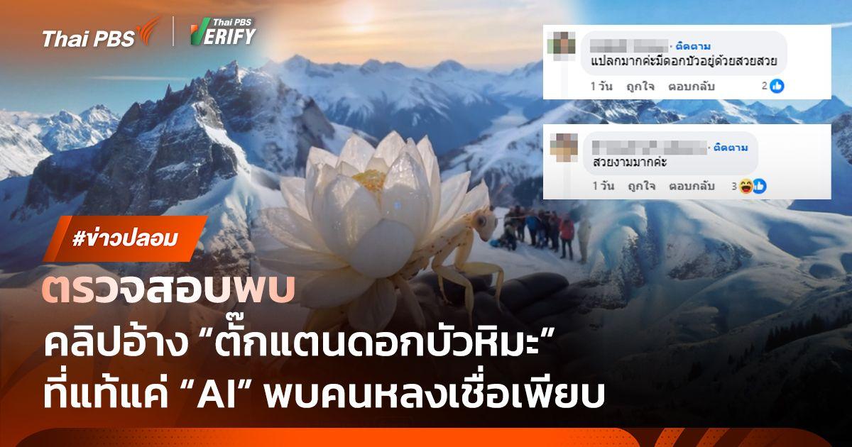 ตรวจสอบพบ : คลิป “ตั๊กแตนดอกบัวหิมะ” คนดู 10 ล้านครั้ง ที่แท้สร้างจาก AI