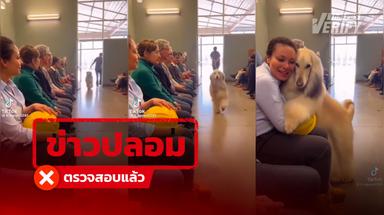 คลิปสุดซึ้ง “น้องหมาเลือกเจ้าของเอง” จนสะเทือนใจชาวเน็ตนับล้าน ที่แท้เป็นคลิป AI