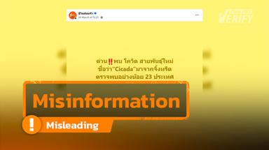 New COVID variant ‘Cicada’ is not caused by eponymous insect