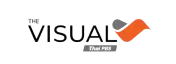 The Visual