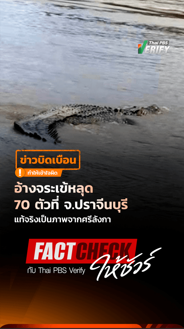 ตรวจสอบแล้ว อ้างจระเข้หลุด 70 ตัวที่ จ.ปราจีนบุรี แท้จริงเป็นภาพจากศรีลังกา : Fact-Check ให้ชัวร์ กับ Thai PBS Verify