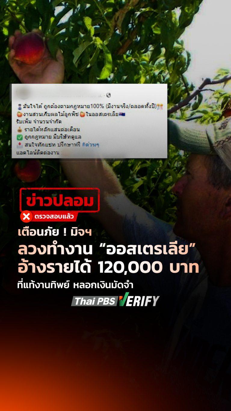 เตือนภัย ! มิจฯ ลวงทำงาน “ออสเตรเลีย” อ้างรายได้ 120,000 บาท ที่แท้งานทิพย์ หลอกเงินมัดจำ : Thai PBS Verify
