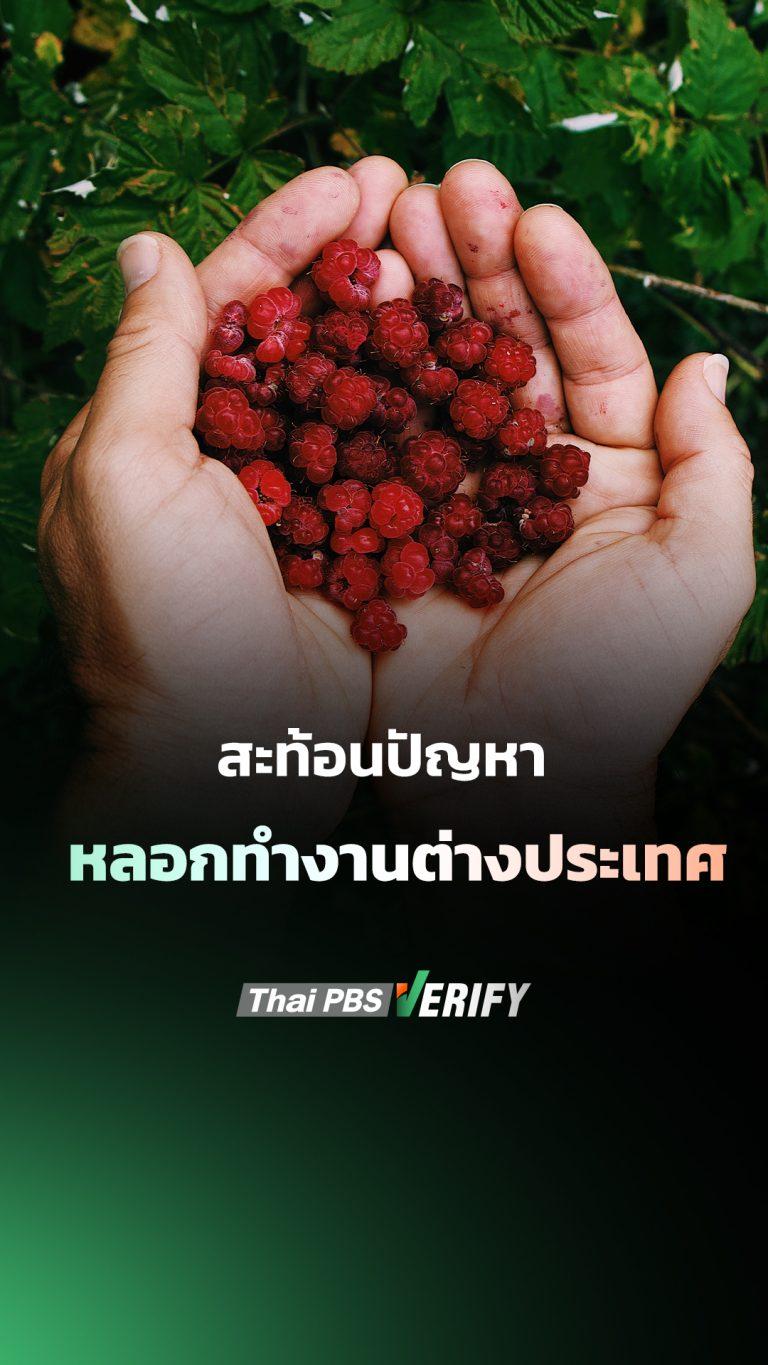 สะท้อนปัญหาหลอก “ทำงานต่างประเทศ”