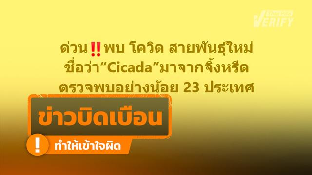 โควิด “Cicada” ไม่ได้มาจากจิ้งหรีด เป็นเพียงชื่อเรียก