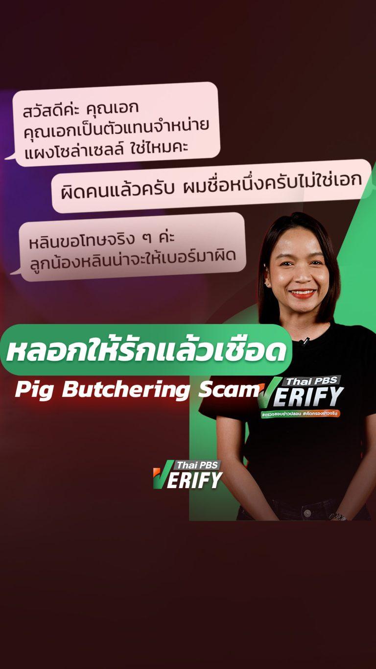 Pig Butchering Scam “หลอกให้รักแล้วเชือด” : Thai PBS Verify