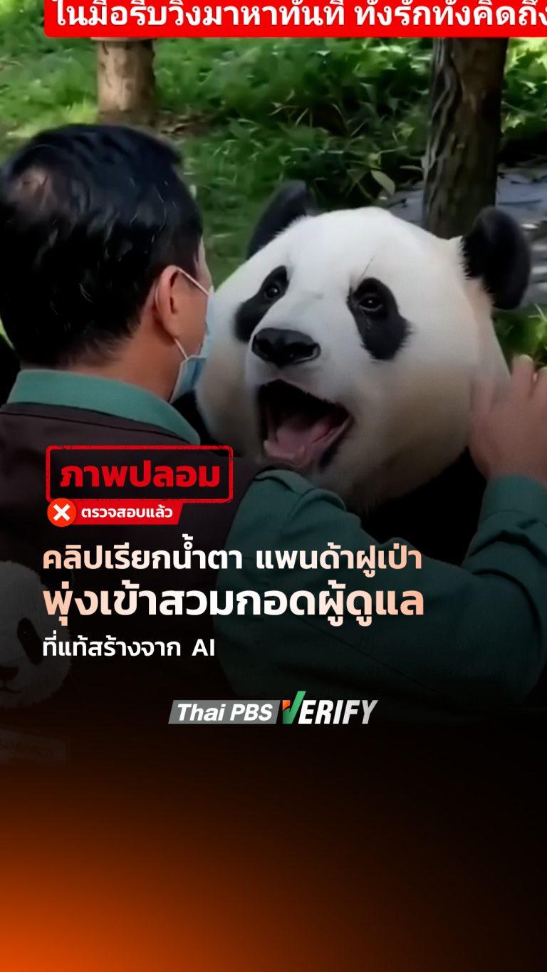 คลิปเรียกน้ำตา “แพนด้าฝูเป่าพุ่งเข้าสวมกอดผู้ดูแล” ที่แท้สร้างจาก AI : Thai PBS Verify
