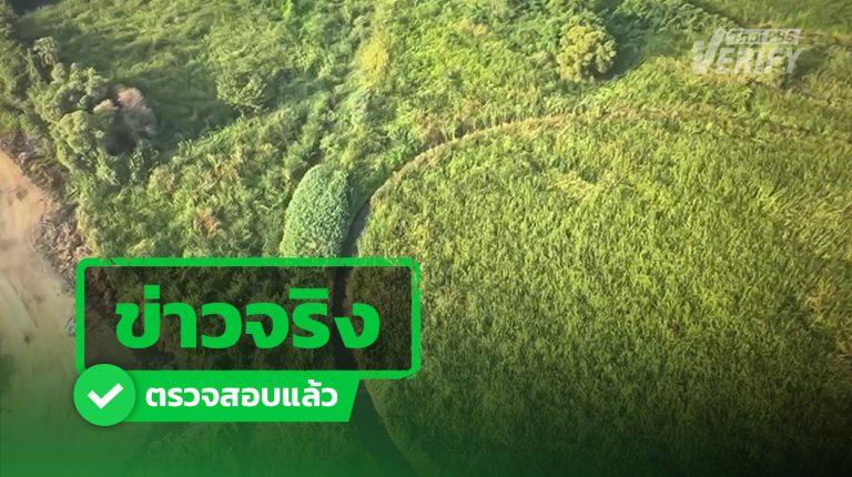 “เกาะวงกลม” ที่ปทุมธานี เริ่มมีคนเรียกว่า “The Eye ดวงตาเมืองไทย”