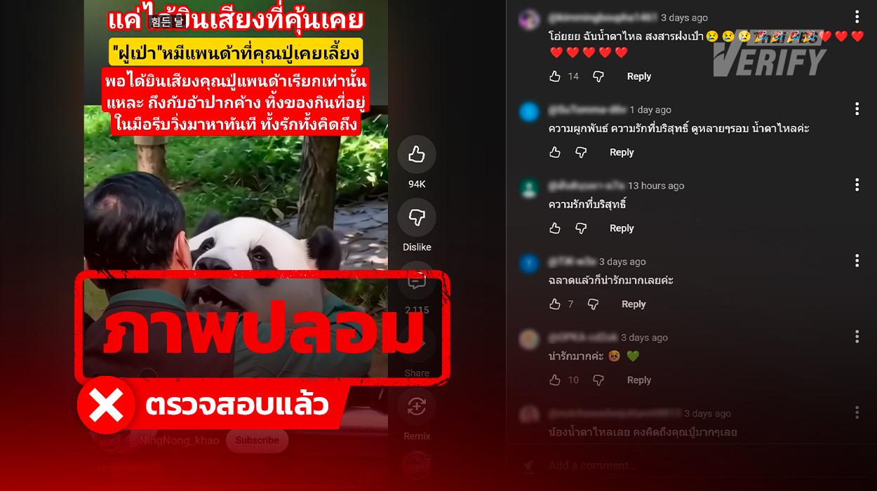 คลิปเรียกน้ำตา “แพนด้าฝูเป่าพุ่งเข้าสวมกอดผู้ดูแล” ที่แท้สร้างจาก AI