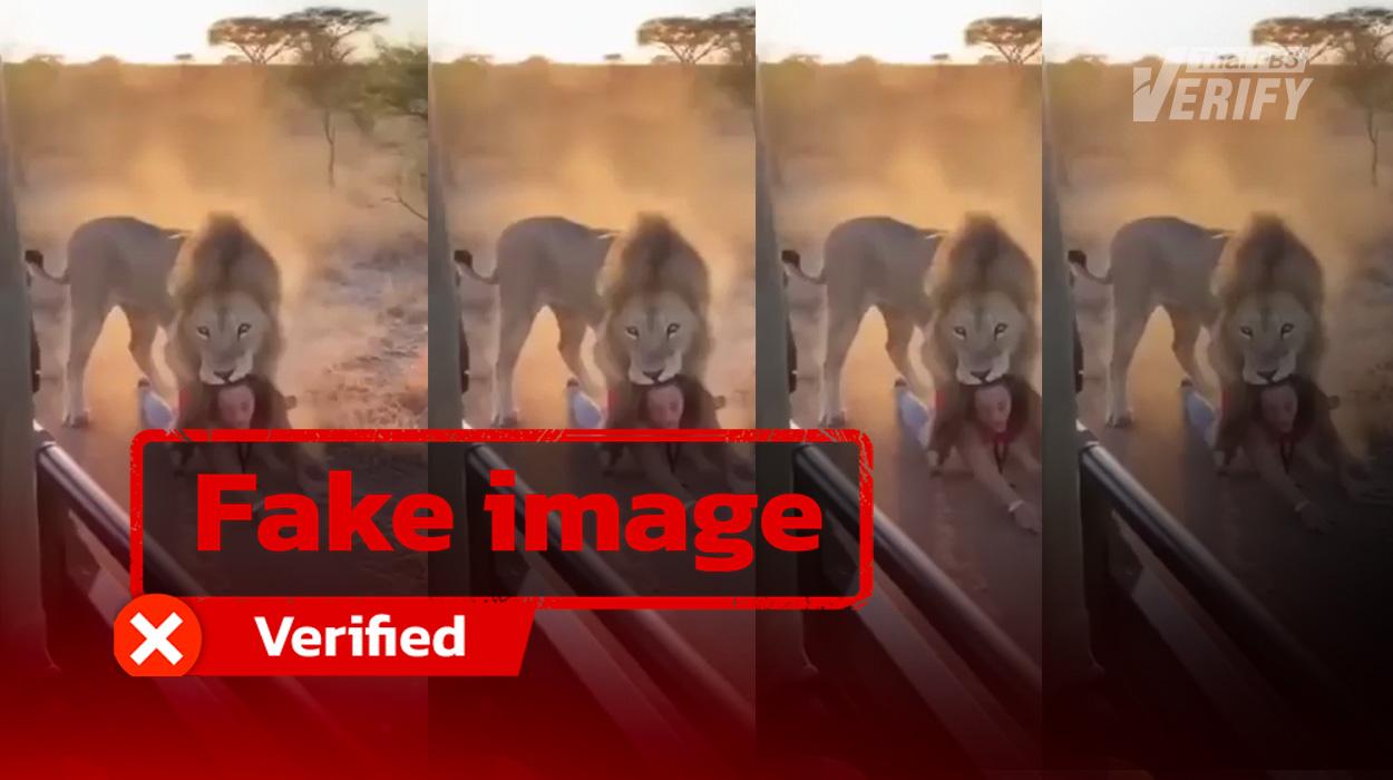 Viral Video Showing Lion Dragging Woman Reaches 3 Million Views, Revealed to Be AI-Generated
