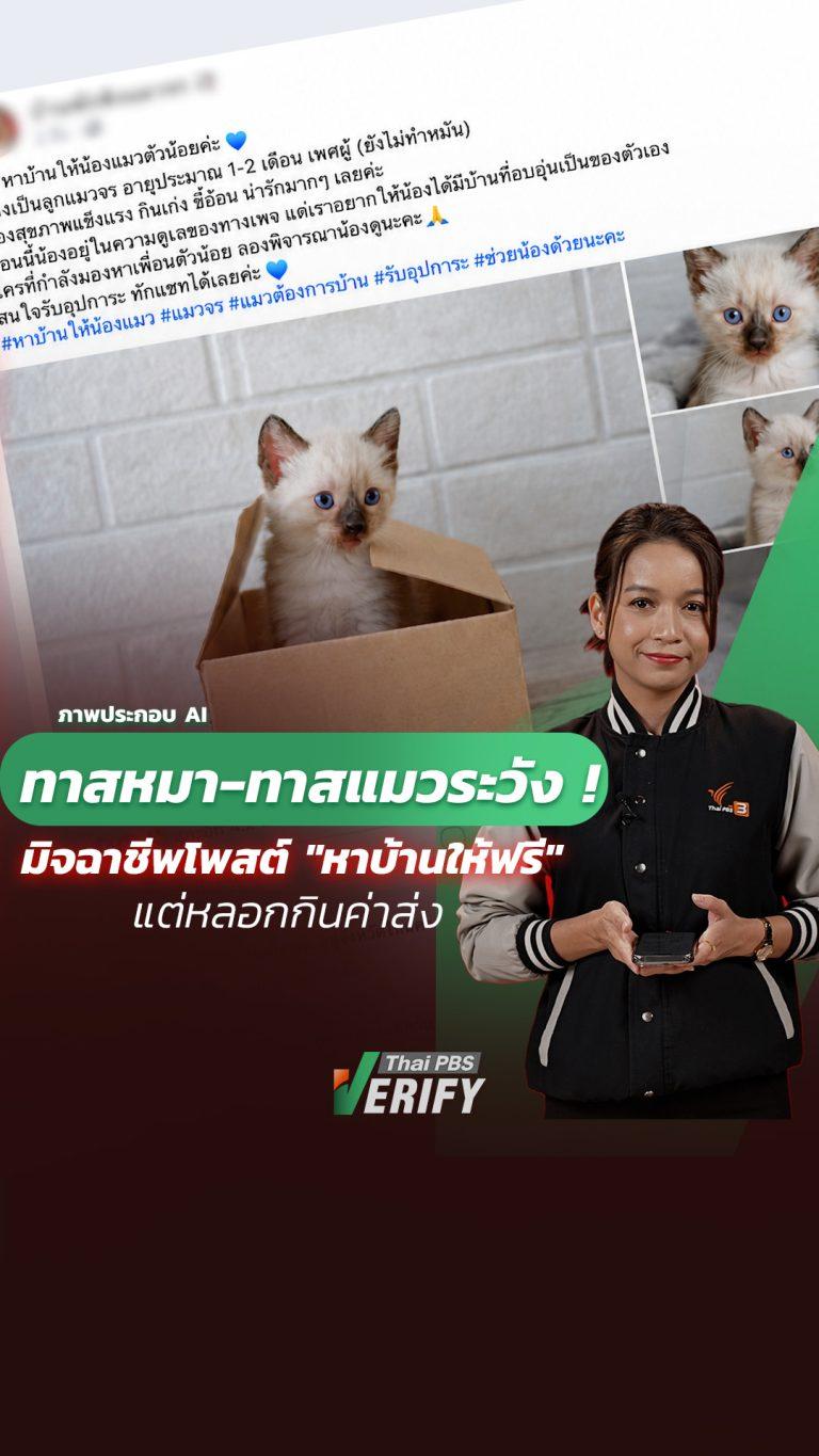 ทาสหมา-ทาสแมวระวัง! Thai PBS Verify เตือนมิจฉาชีพโพสต์ “หาบ้านให้ฟรี” แต่หลอกกินค่าส่ง : Thai PBS Verify