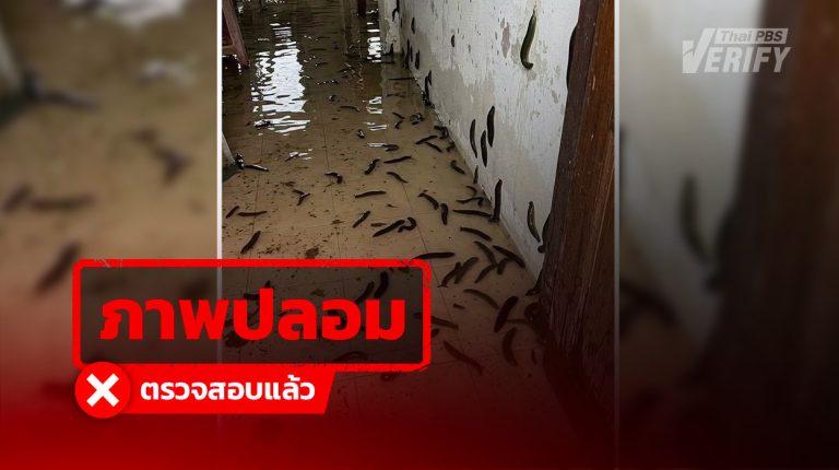 ภาพฝูงปลิงเต็มบ้านหลังน้ำลด แท้จริงสร้างจาก AI