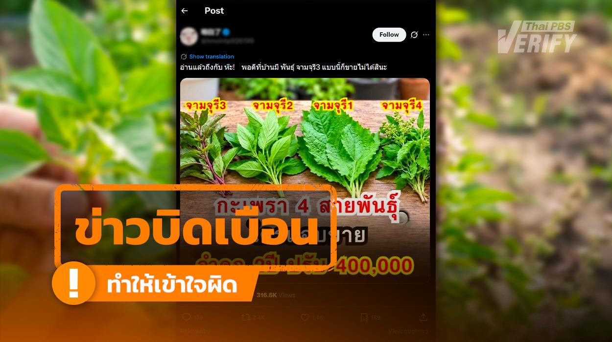 โพสต์อ้าง “ห้ามขายกะเพรา “จามจุรี” ฝ่าฝืนคุก 2 ปี ปรับ 4 แสน พบชื่อกะเพราะไม่มีจริง