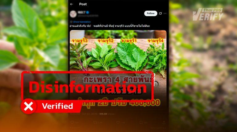 False claim on non-existent 'Chamchuri basil' sale ban debunked