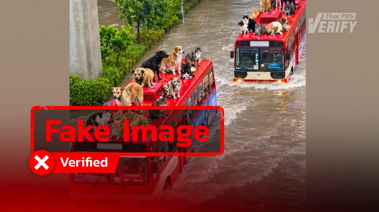 Fake Image: Pictures of dogs and cats riding on a flooded Bangkok bus roof—falsely claimed as real rescue efforts—are actually ‘AI slop’